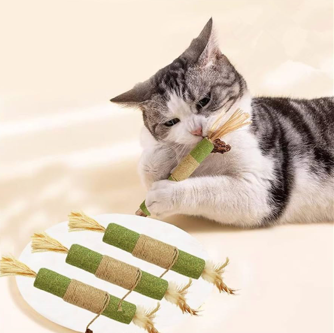 Matatabi Dental Health Chewing Sticks