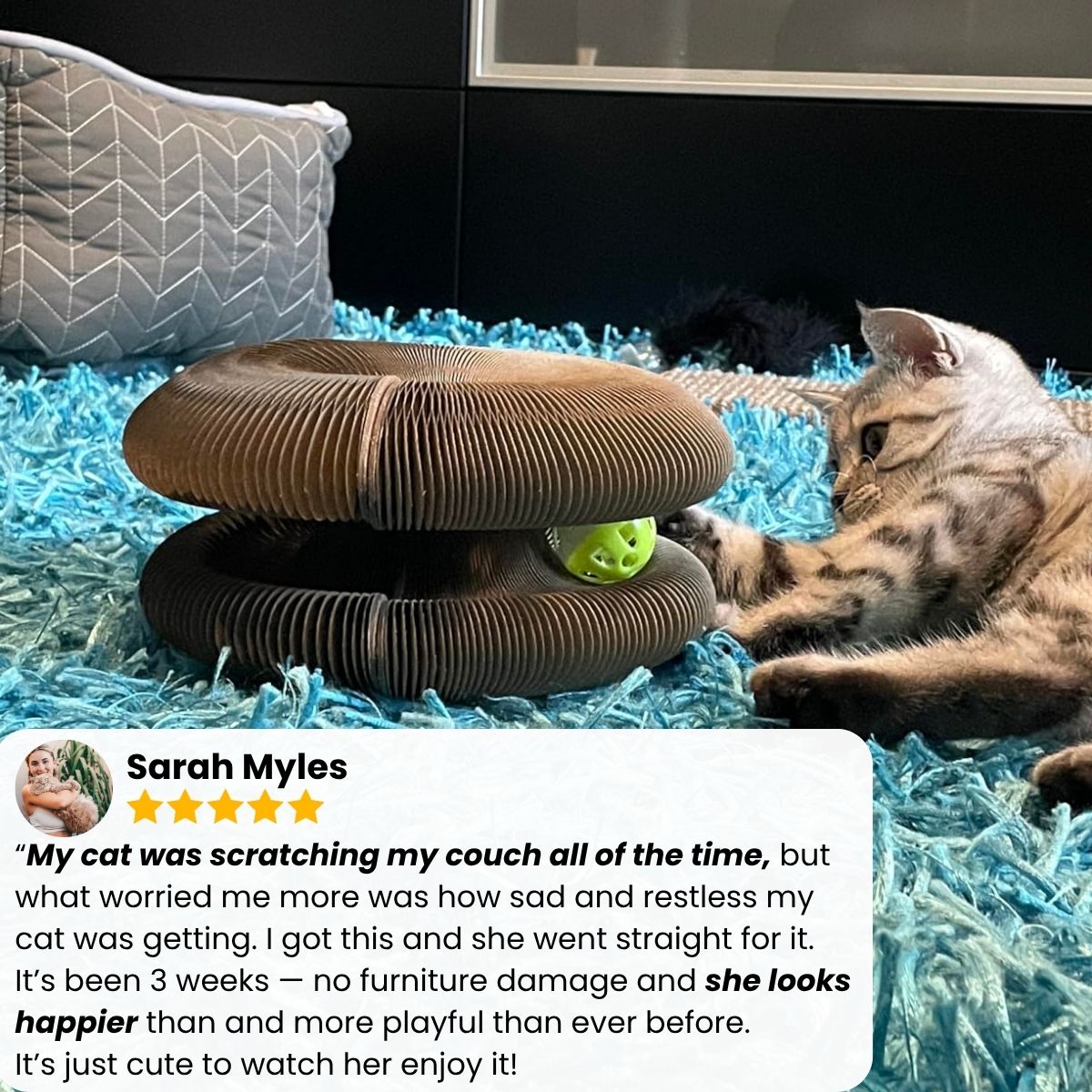 KittyLoop™ Organic Play Scratching-Board