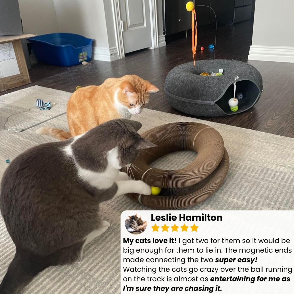 KittyLoop™ Organic Play Scratching-Board