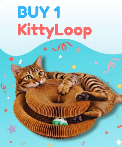 1× KittyLoop