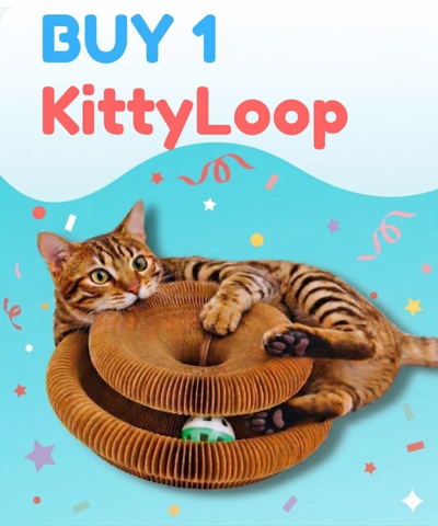 1× KittyLoop