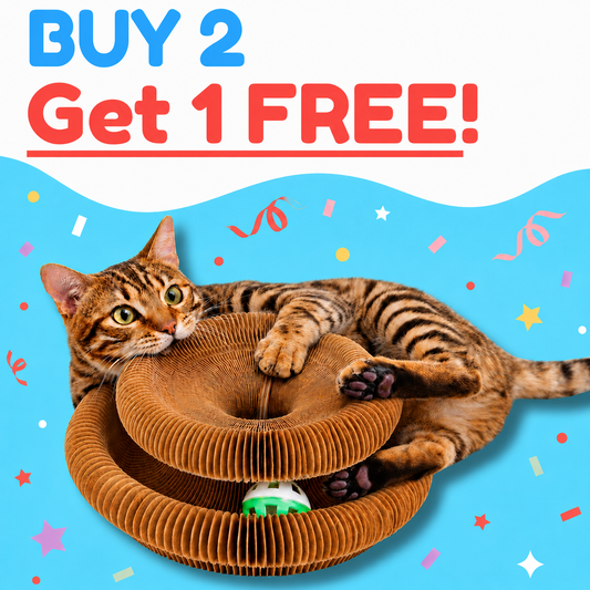 2 × KittyLoop