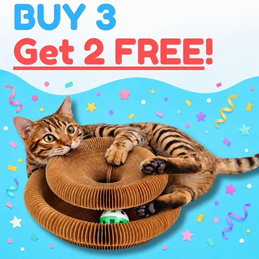 3 × KittyLoop