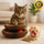 KittyLoop™ Organic Play Scratching-Board