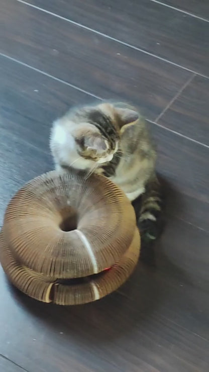 KittyLoop™ Organic Play Scratching-Board